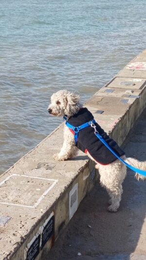 Imagen de WhatsApp 2025-07-24 a las 15.30.43_1b43455e