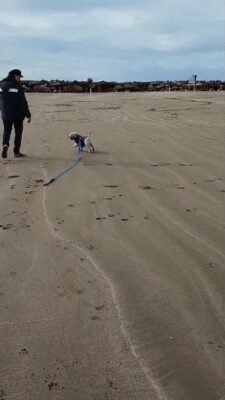 Video de WhatsApp 2025-07-24 a las 15.30.43_ac23bf71